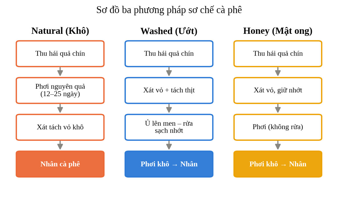 Hình 3. Sơ đồ các bước của ba phương pháp sơ chế cà phê